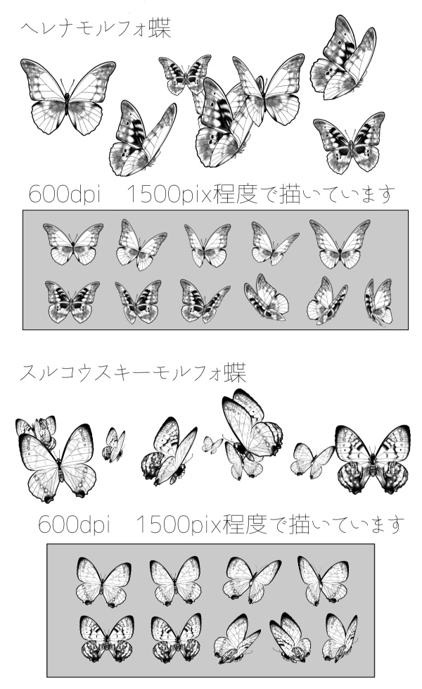 モルフォ蝶ブラシset クリスタ用