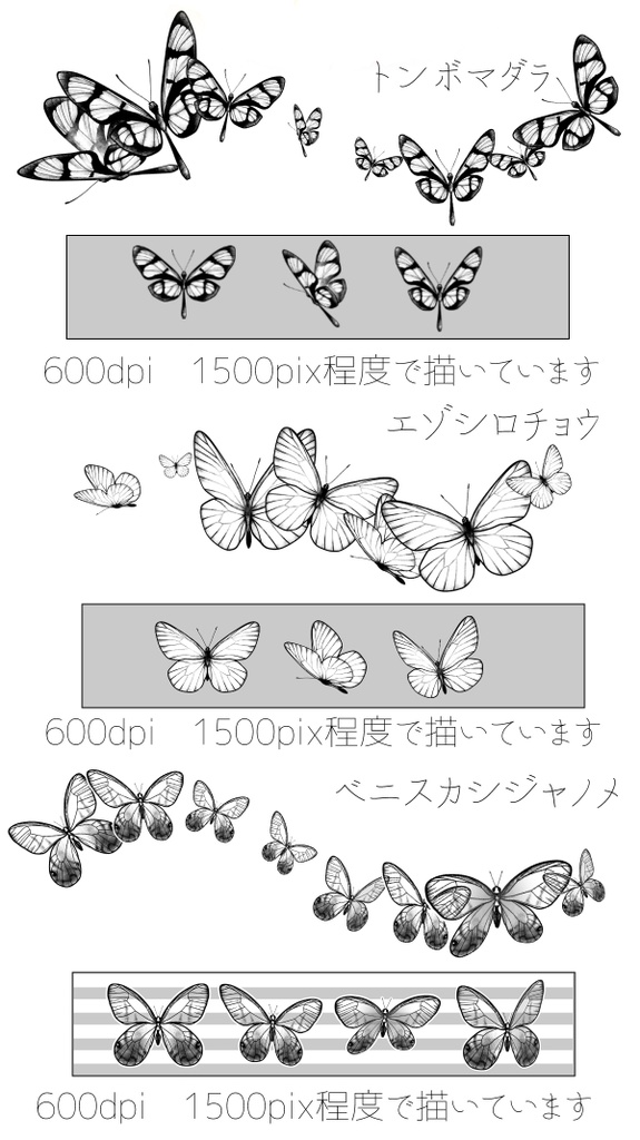 小さい蝶3種set クリスタ用