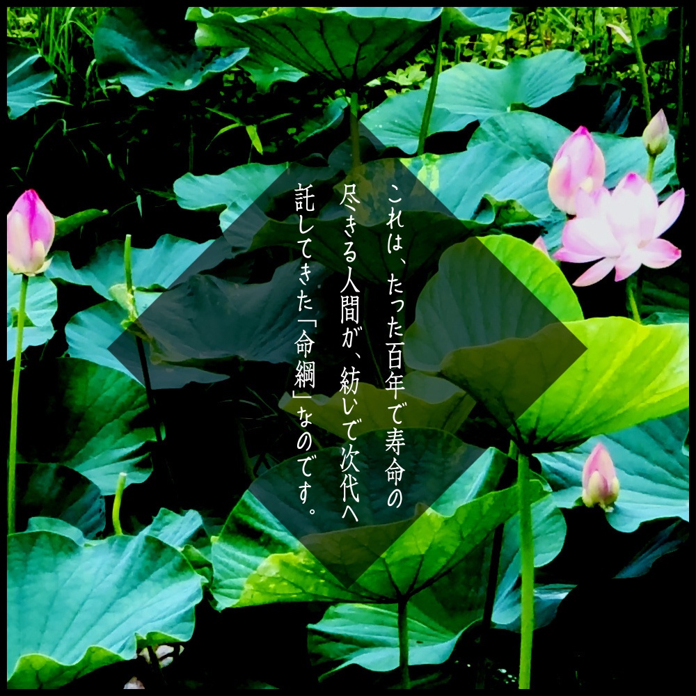 CoC6版/7版シナリオ「あだしごとはさておきつ。」