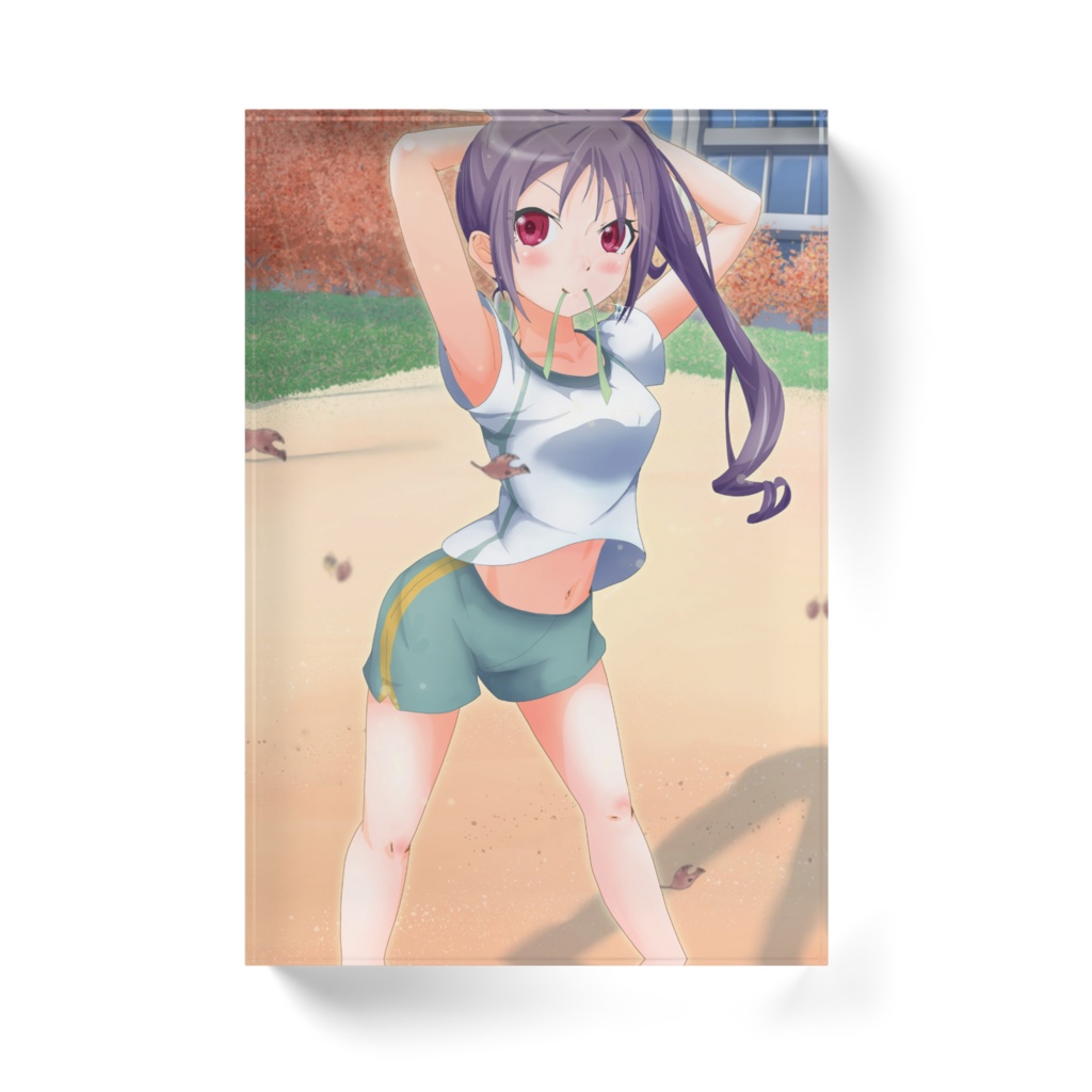 アクリルブロック 全4種