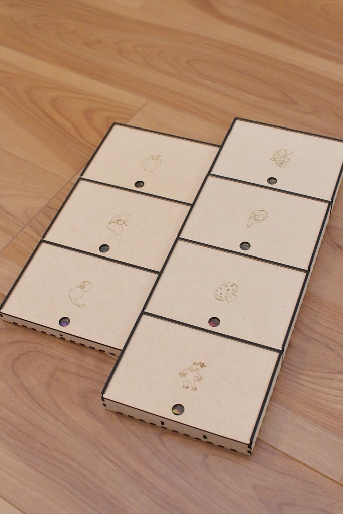 【受注生産】クアックサルバー ディスプレイトレー