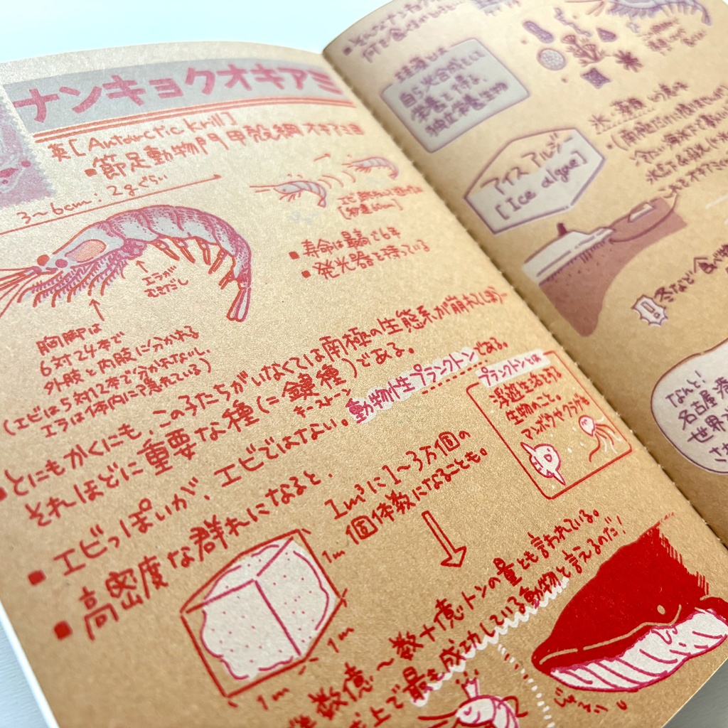 極地本【南極のいただきます!…のはなし】