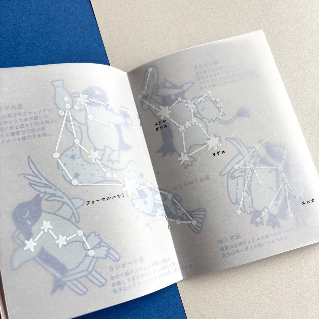 ZINE【星座のはなし】