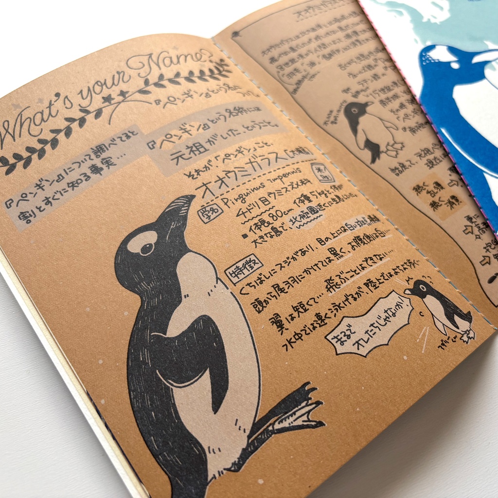 極地本【南極のペンギン、北極のペンギン!?…のはなし】