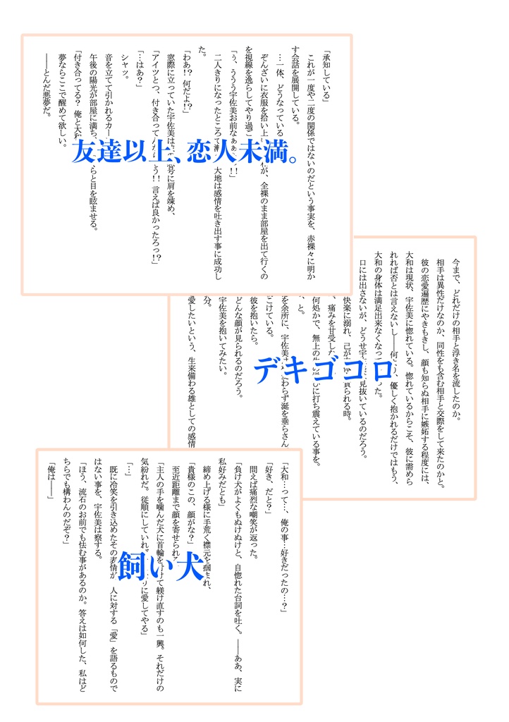 ハダイロ。【電子書籍版】