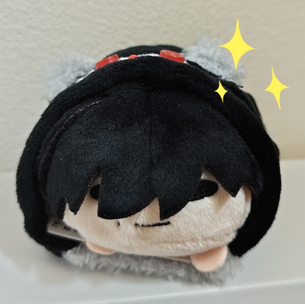 子たぬきの。。。着ぐるみ (のるキャラ/もちころ/もちマス/もちぬい)ぬい服