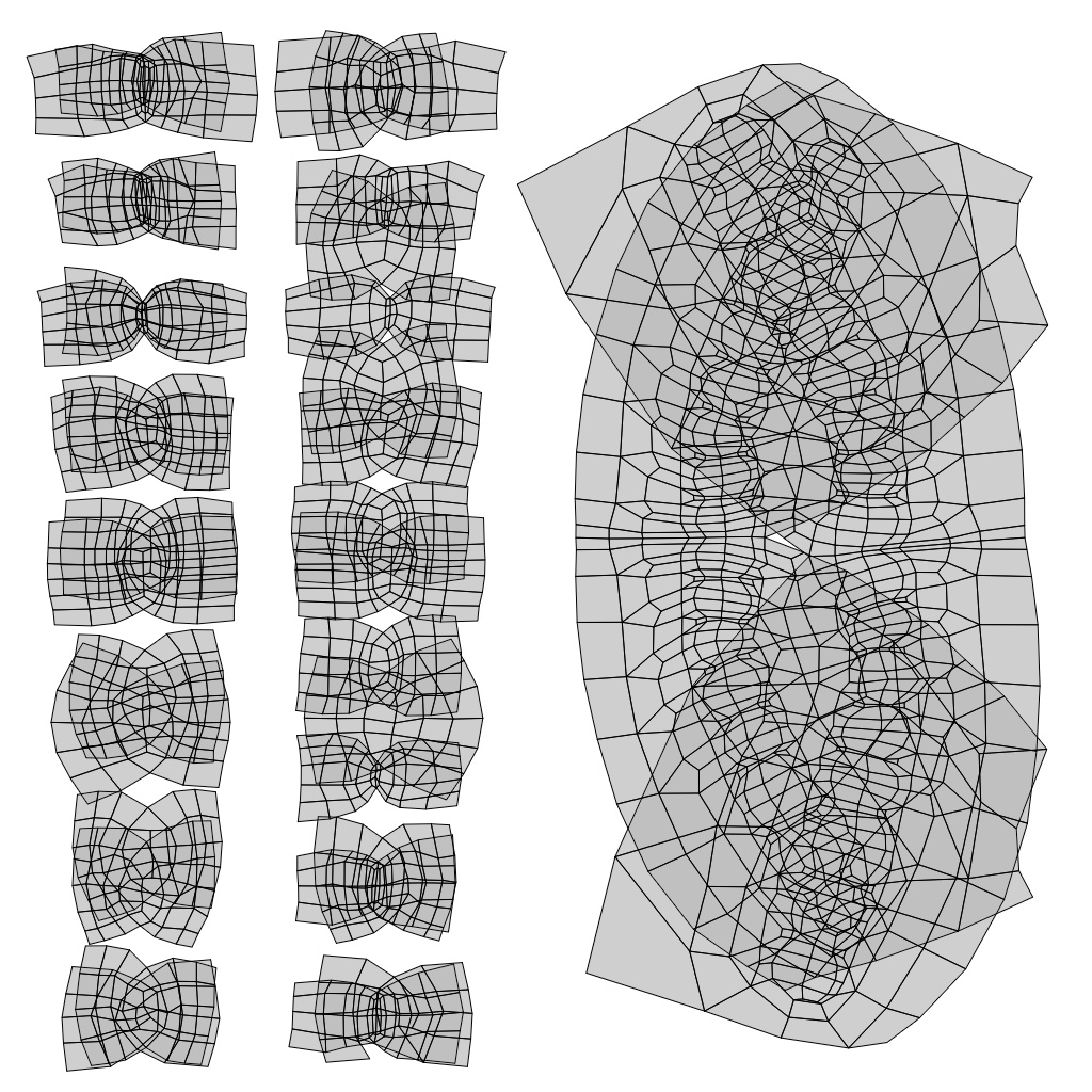 Nacked Female 3d character Model