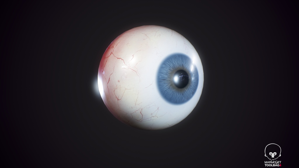 Human Realistic EyeBall