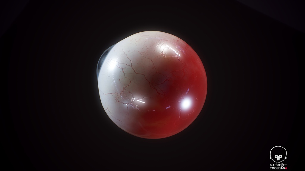 Human Realistic EyeBall