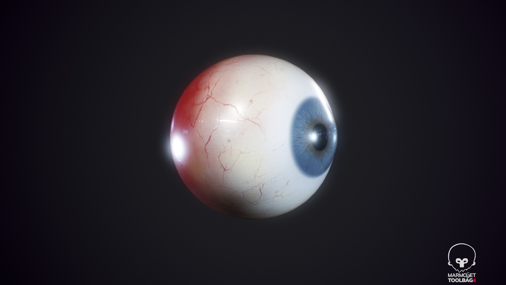 Human Realistic EyeBall