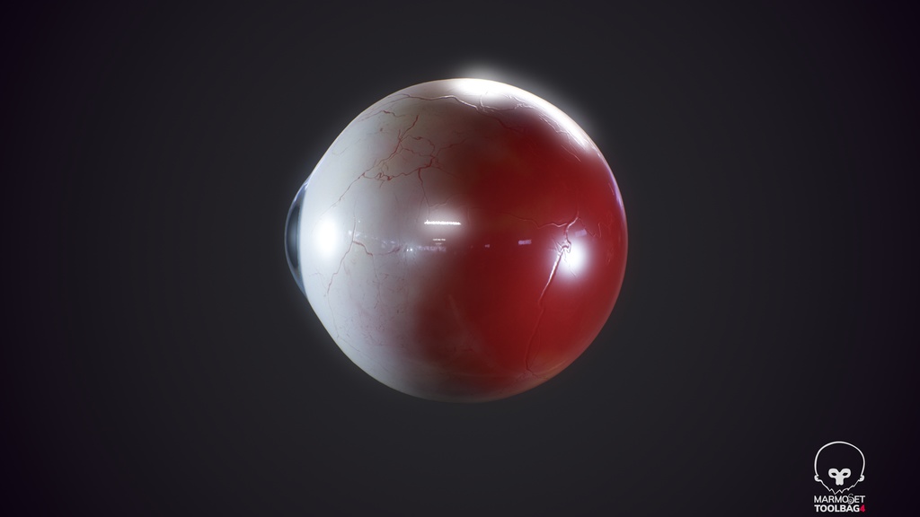 Human Realistic EyeBall