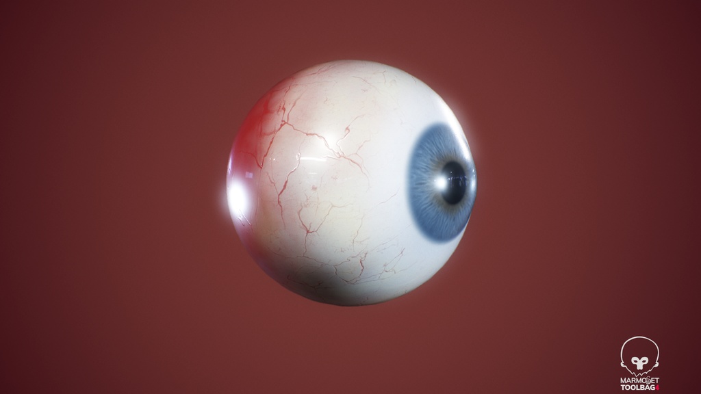 Human Realistic EyeBall