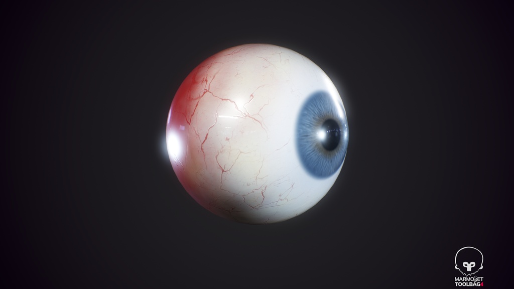 Human Realistic EyeBall