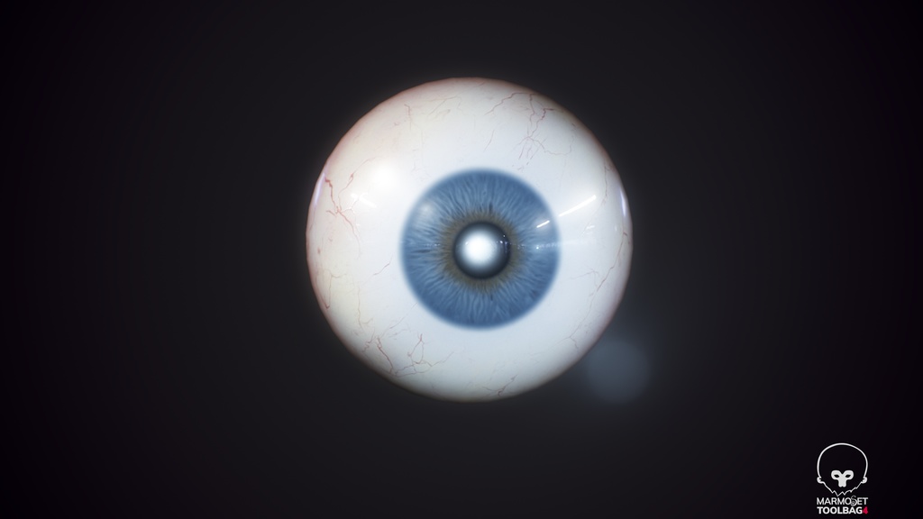 Human Realistic EyeBall