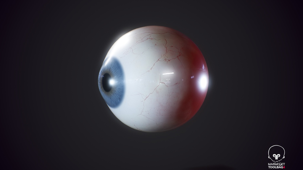 Human Realistic EyeBall