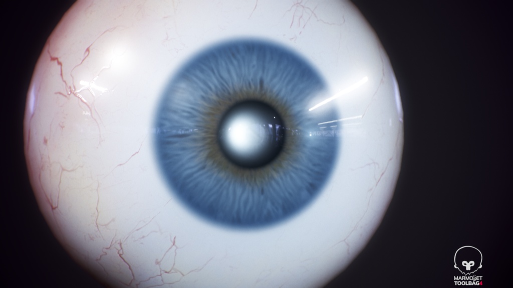 Human Realistic EyeBall