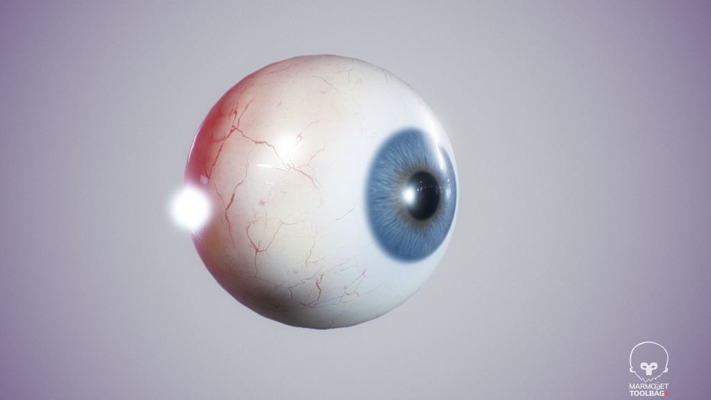 Human Realistic EyeBall