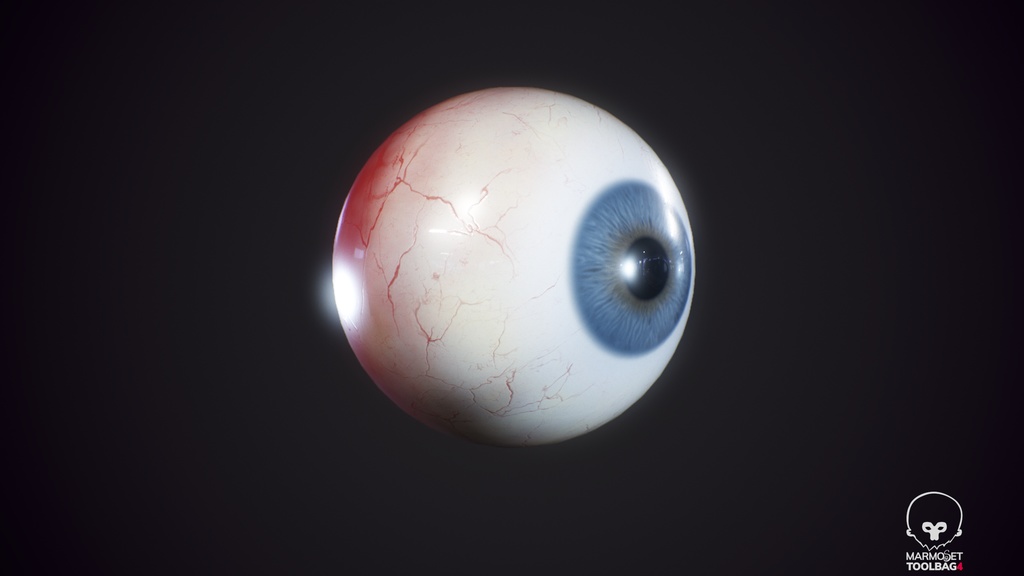 Human Realistic EyeBall