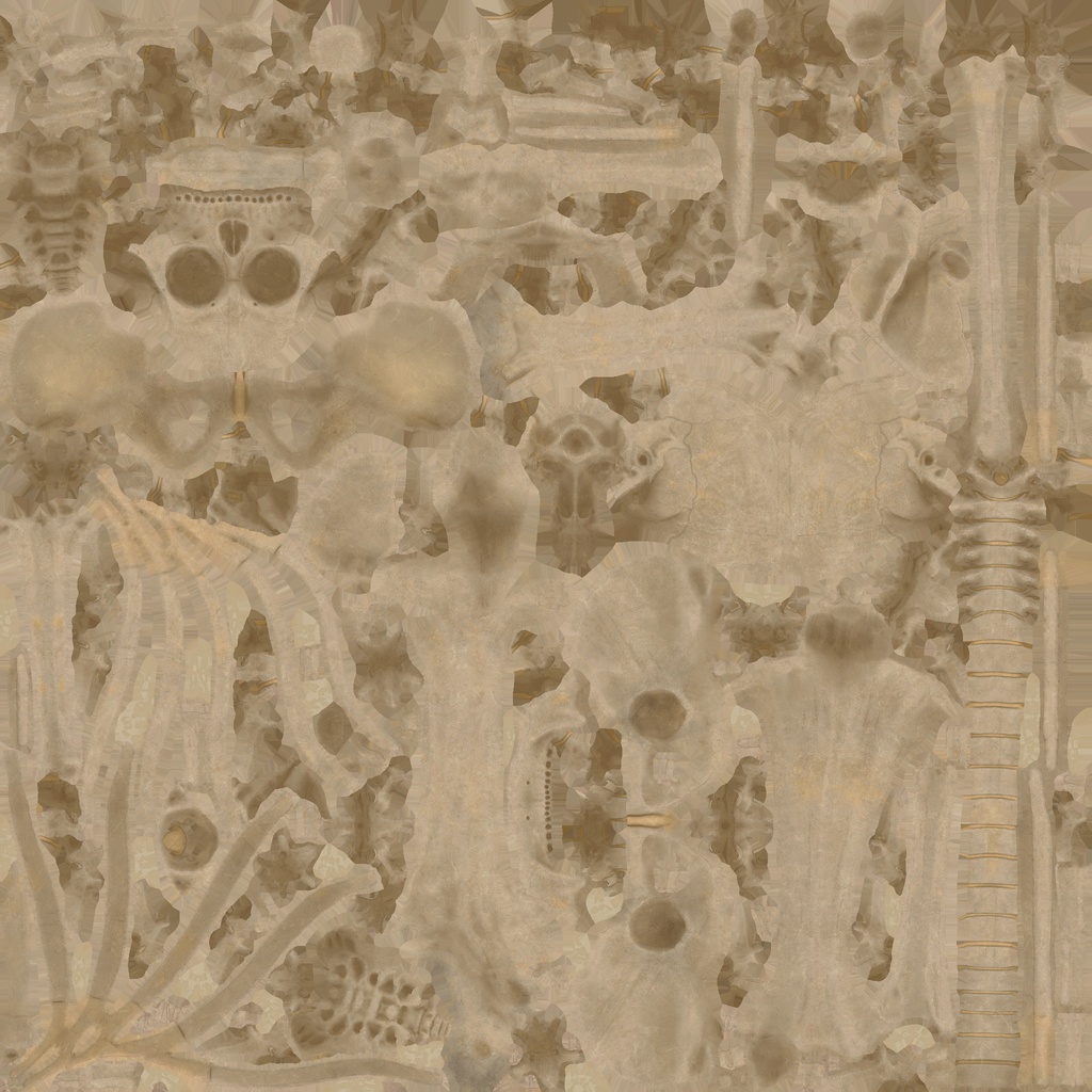 Human Body with complete Anatomy