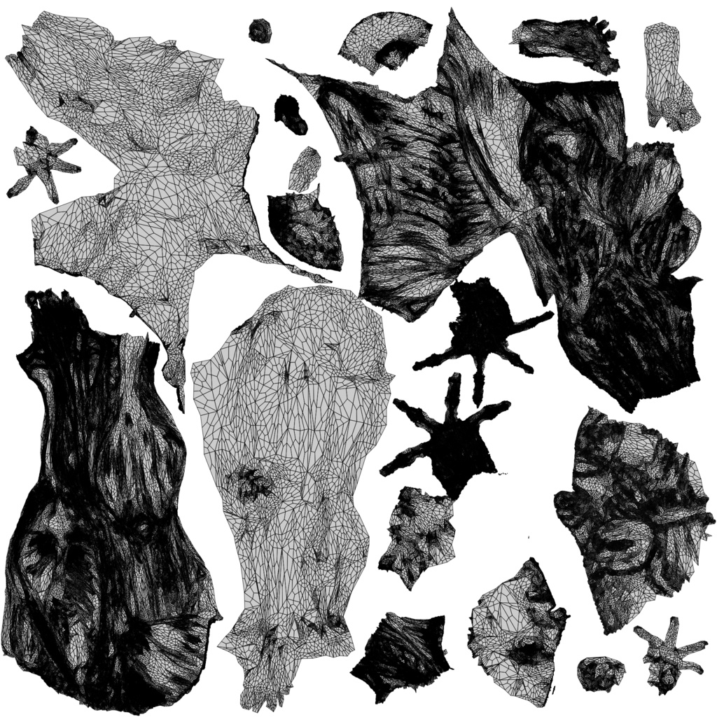 Human Body with complete Anatomy