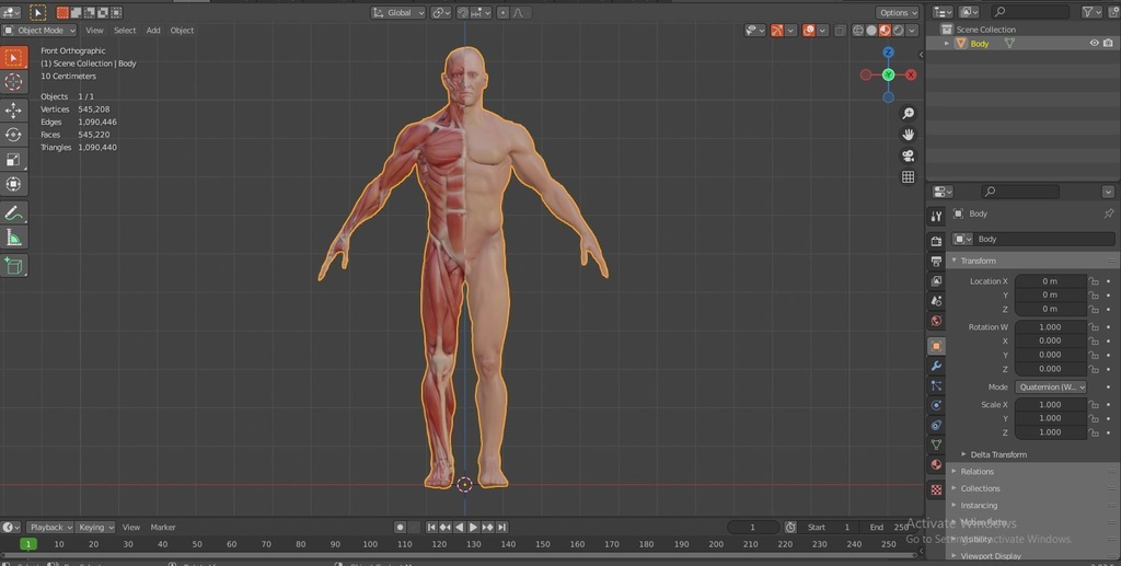 Human Body with complete Anatomy