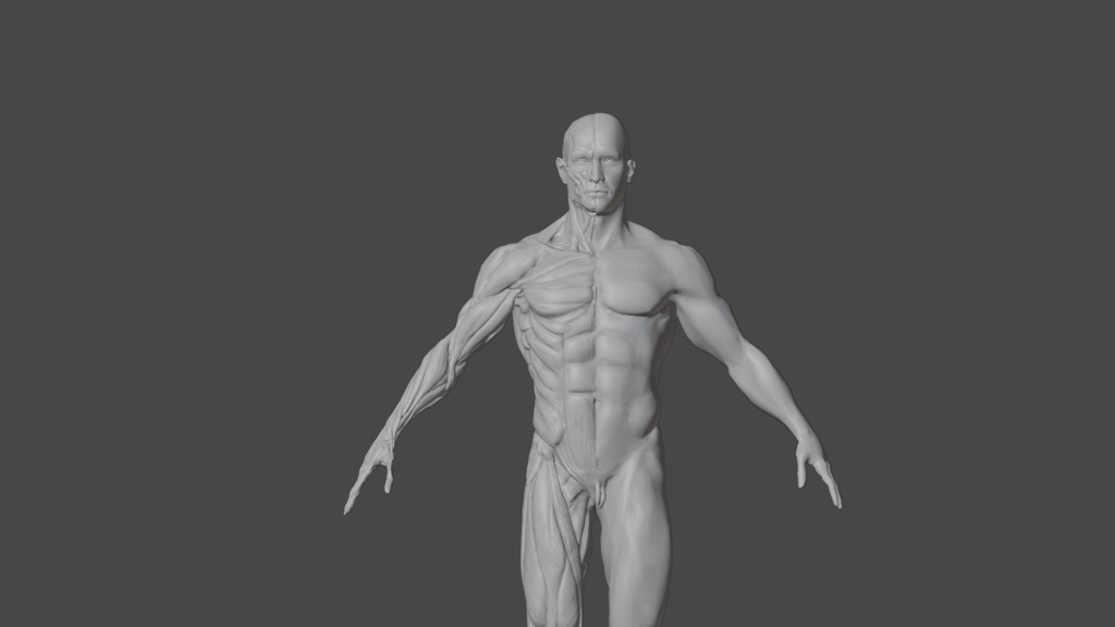 Human Body with complete Anatomy
