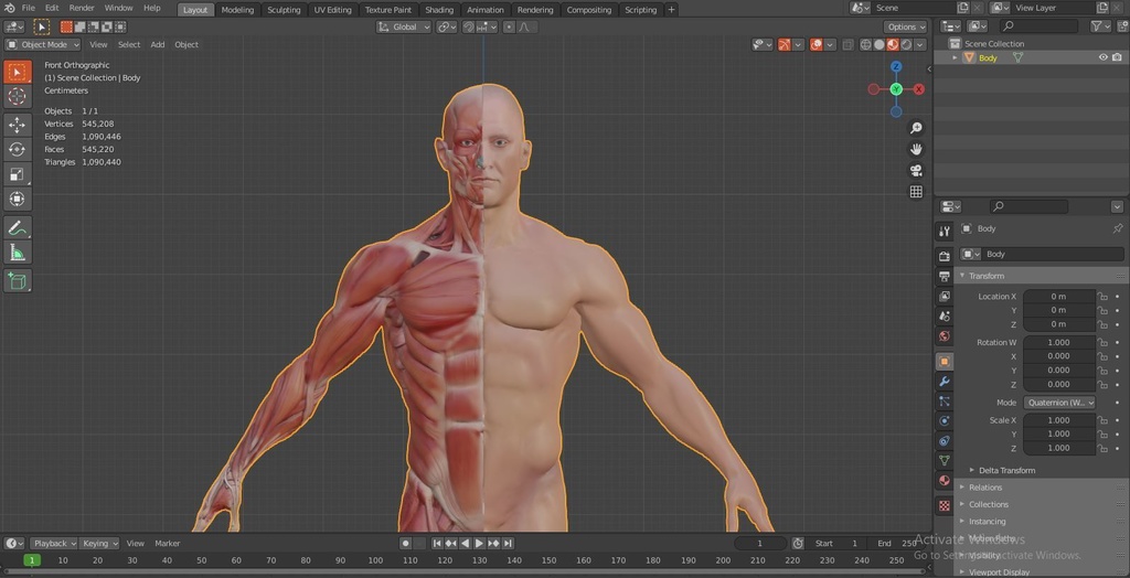 Human Body with complete Anatomy