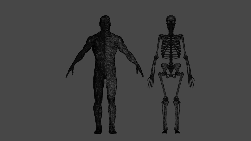 Human Body with complete Anatomy