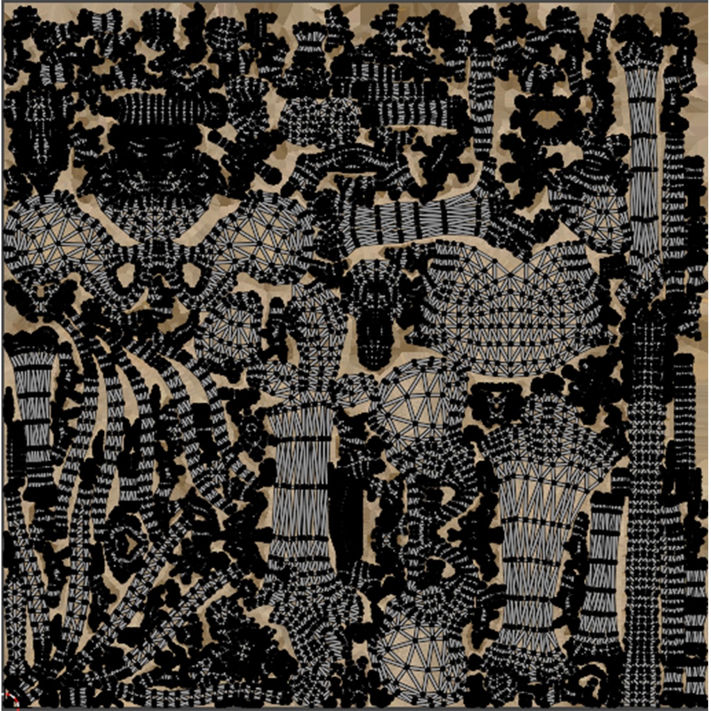 Human Male Skeleton Bones Anatomy