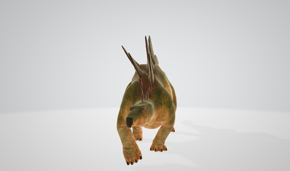 Wild Life Animals Collection