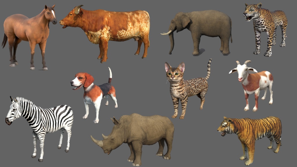 Wild Life Animals Collection