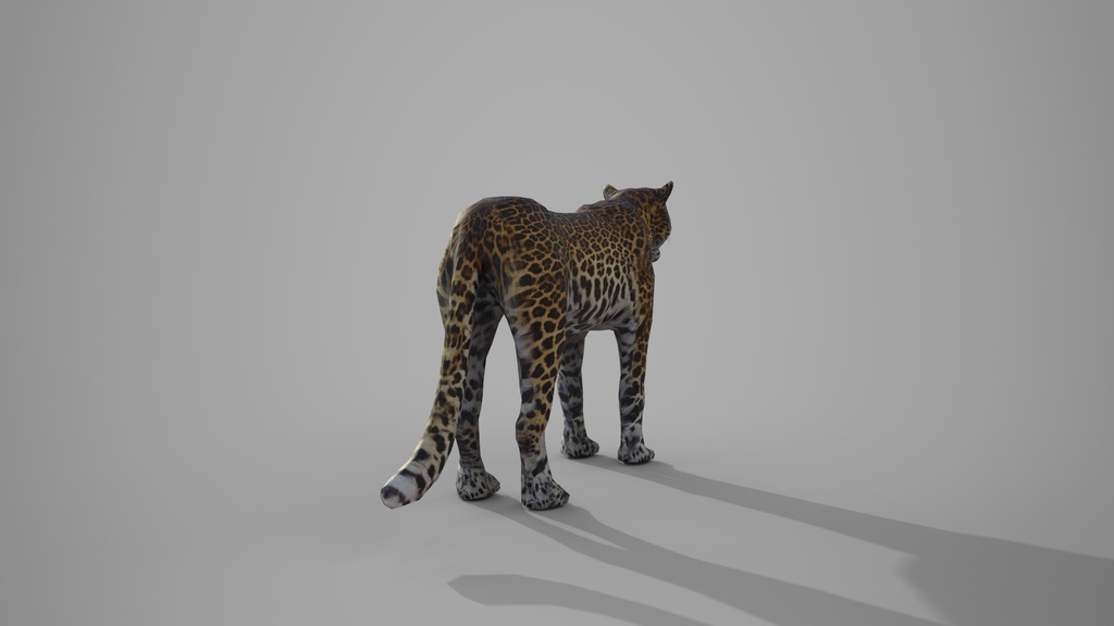 Wild Life Animals Collection