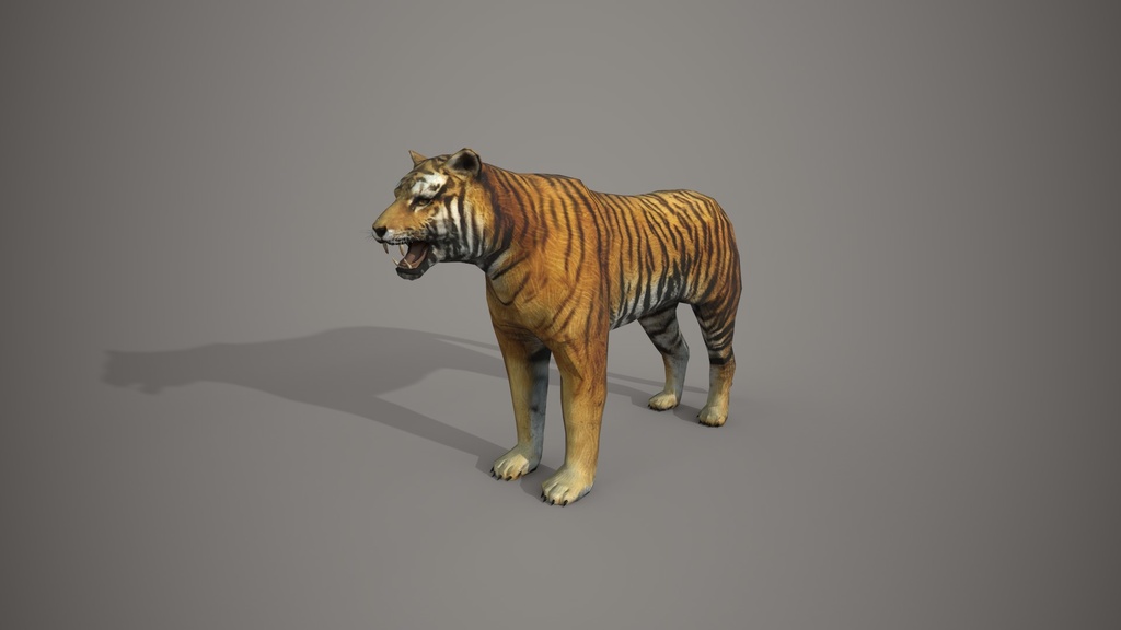 Wild Life Animals Collection