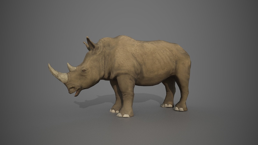 Wild Life Animals Collection