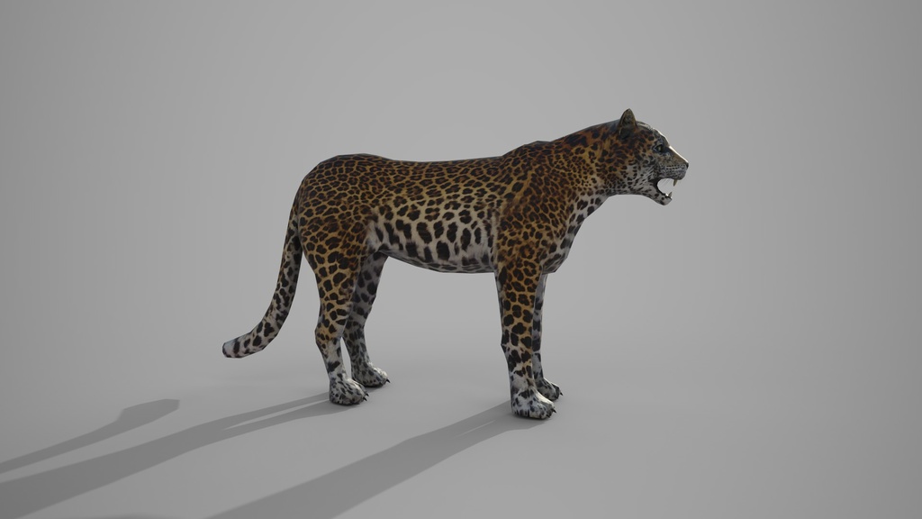 Wild Life Animals Collection