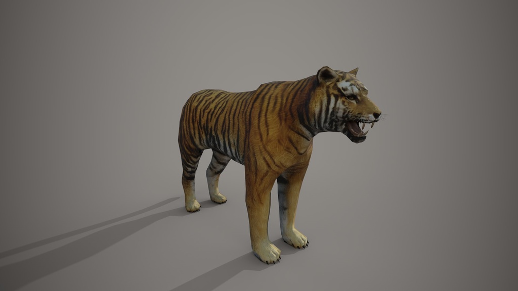 Wild Life Animals Collection