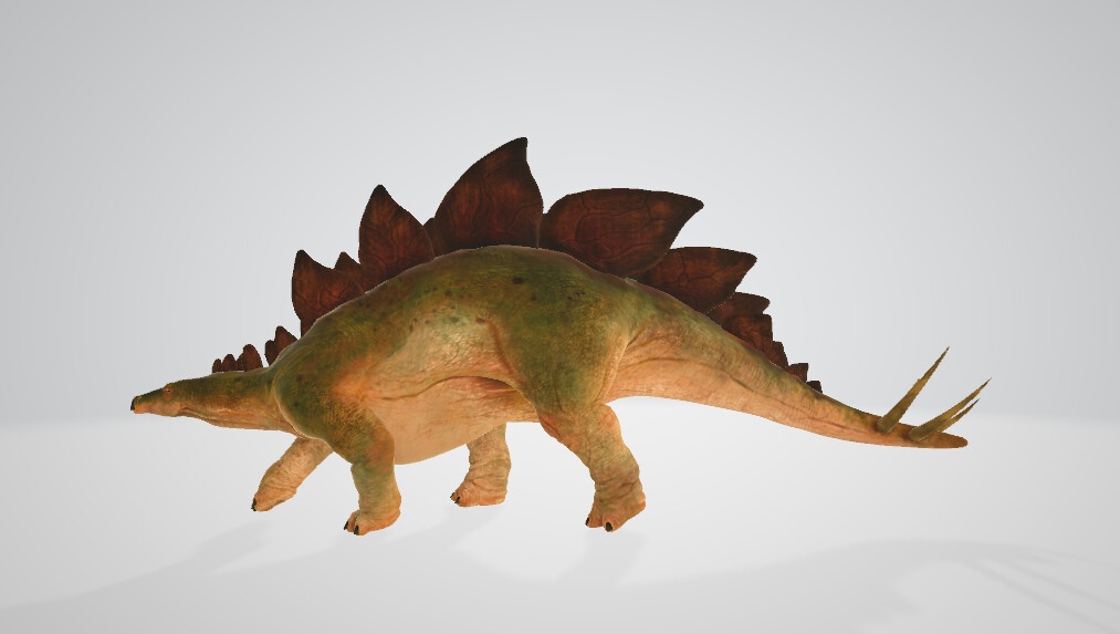 Wild Life Animals Collection