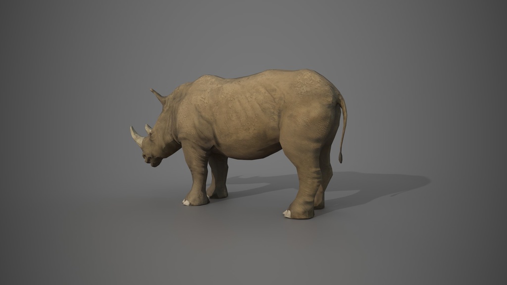 Wild Life Animals Collection