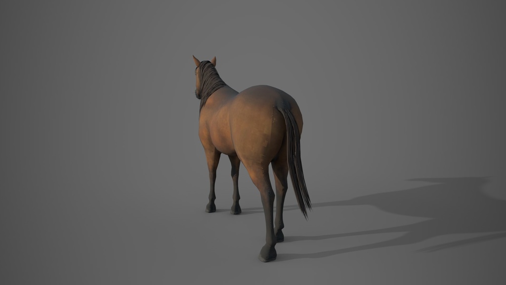 Wild Life Animals Collection