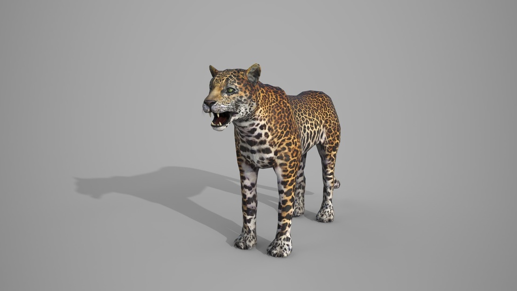 Wild Life Animals Collection