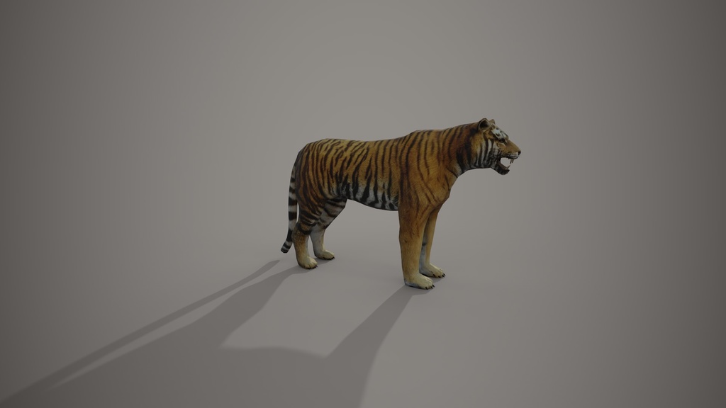 Wild Life Animals Collection