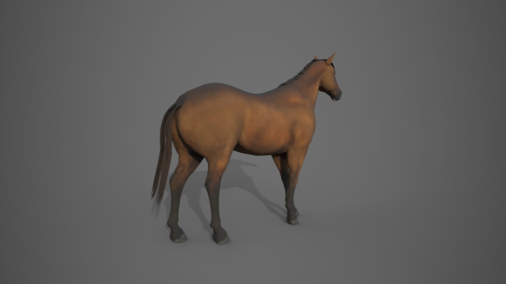 Wild Life Animals Collection