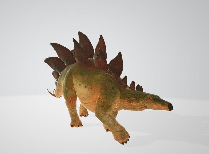 Wild Life Animals Collection