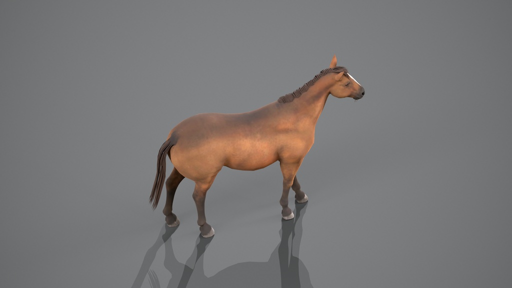 Wildlife Animal Pack