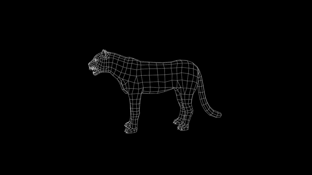 Wildlife Animal Pack
