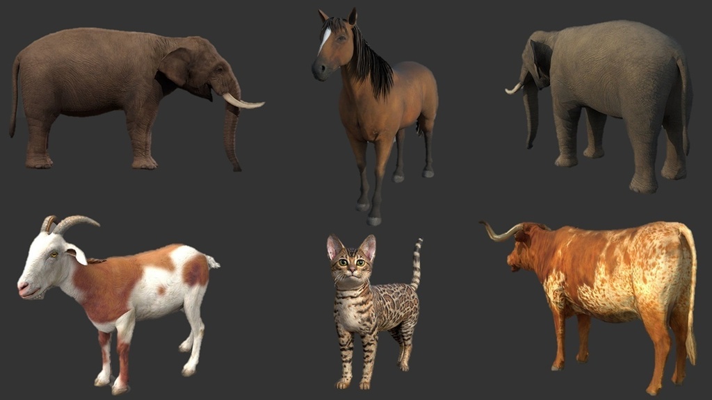 Wildlife Animal Pack