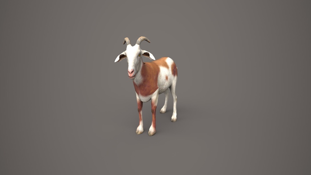 Wildlife Animal Pack