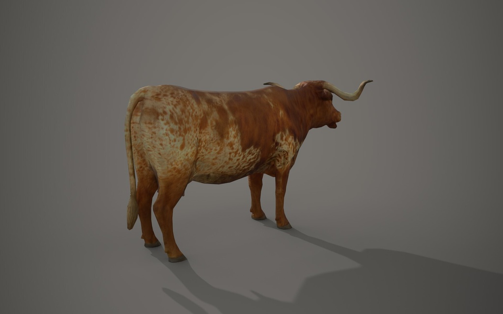 Wildlife Animal Pack