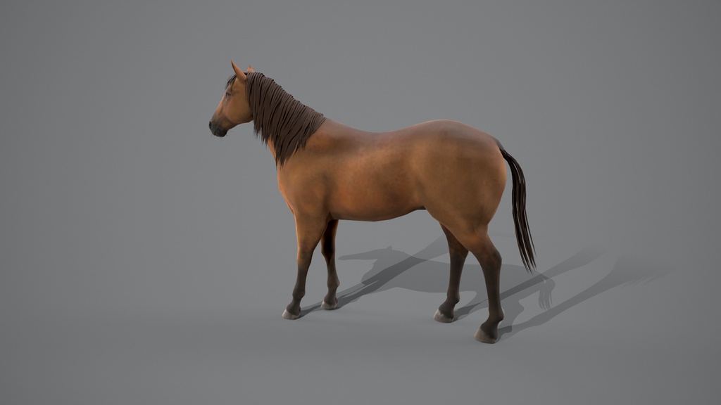Wildlife Animal Pack
