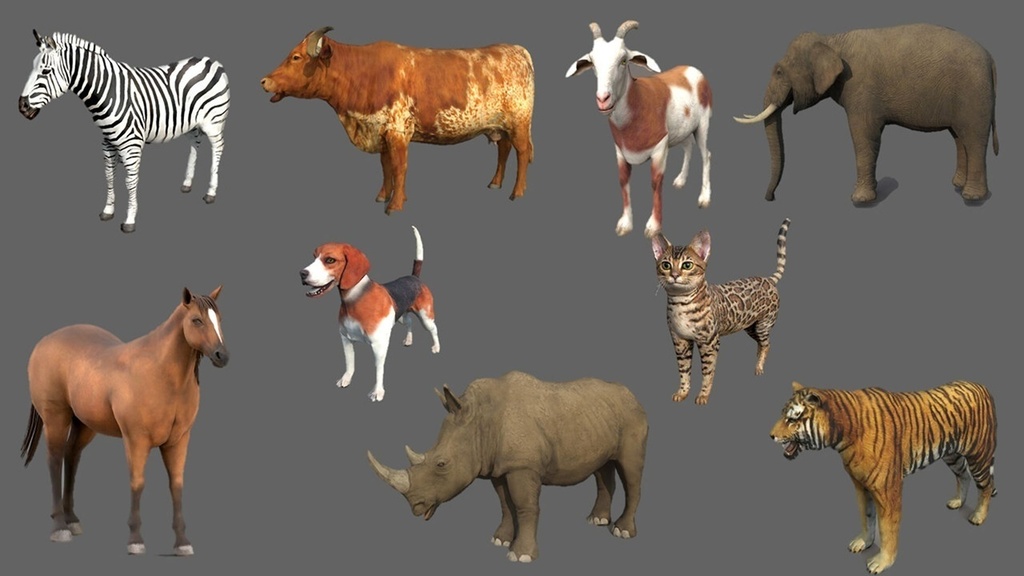 Wildlife Animal Pack